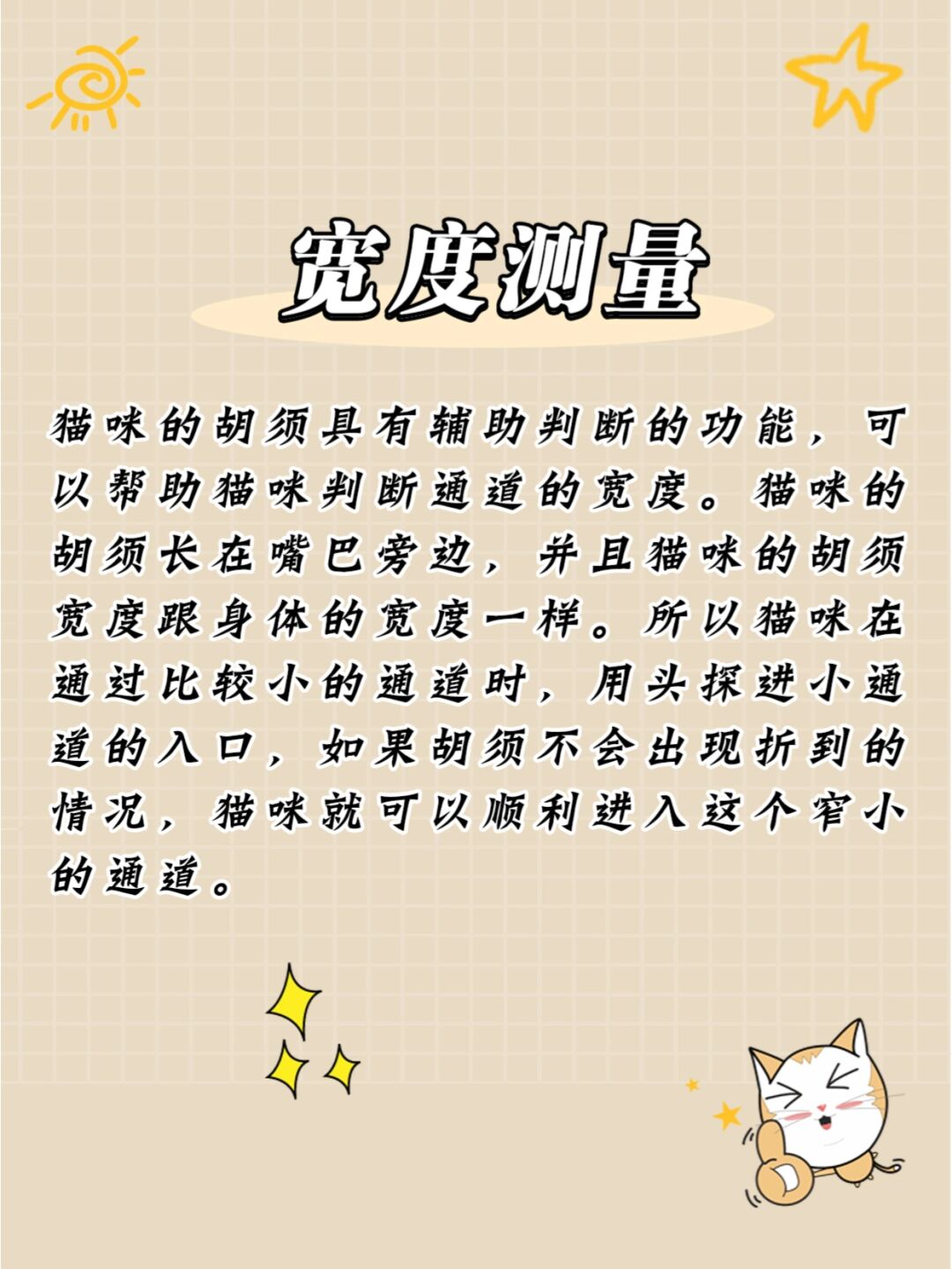 新版猫咪目前的地址入口新版猫咪目前地址入口介绍-第3张图片