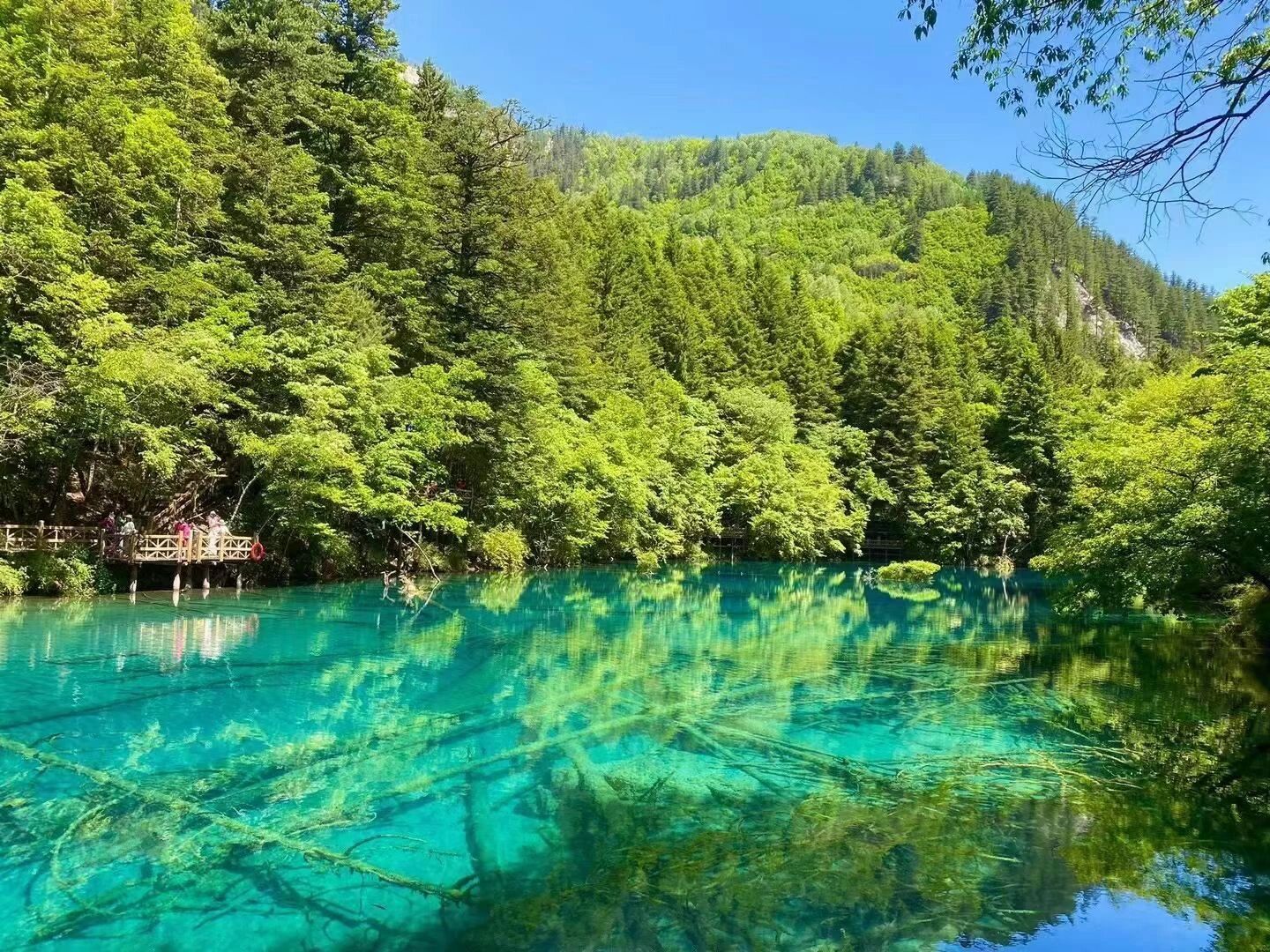 黄龙机场到九寨沟多远黄龙机场到九寨沟之旅-第1张图片