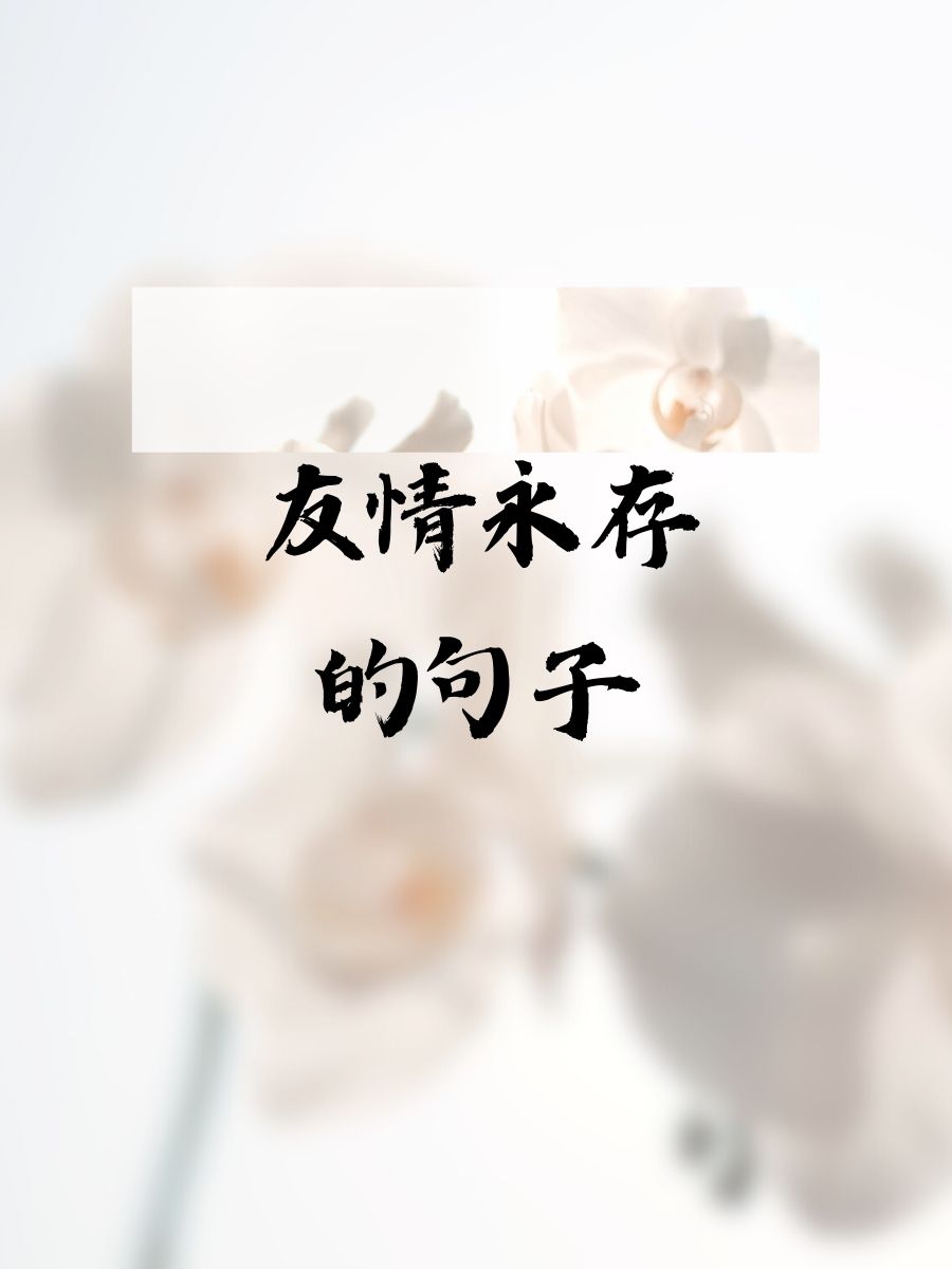 婷婷久月导航婷婷久月，时光的诗篇-第1张图片