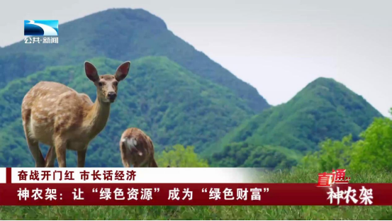 99精产国一二三产区区别解析-第3张图片