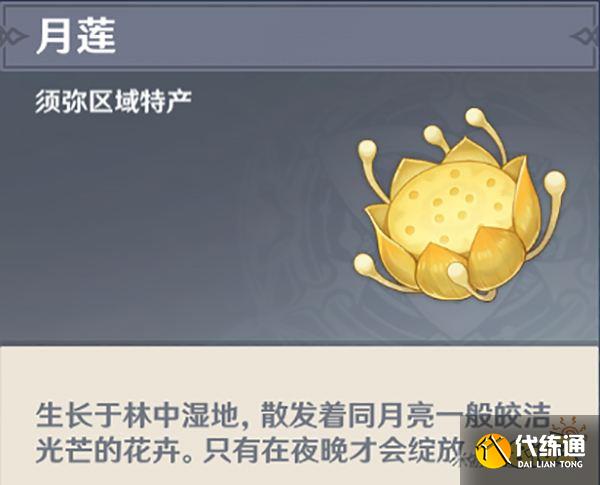 胡提亚刷新时间胡提亚如何抓捕-第2张图片