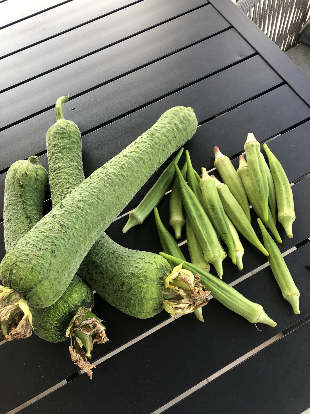草莓樱桃丝瓜秋葵榴莲黄瓜葫芦娃草莓樱桃丝瓜秋葵榴莲——美食之旅