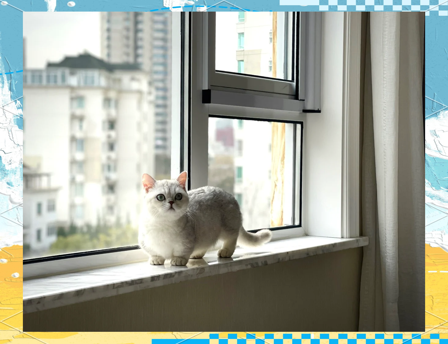 泪痕碗之念泪痕碗之念