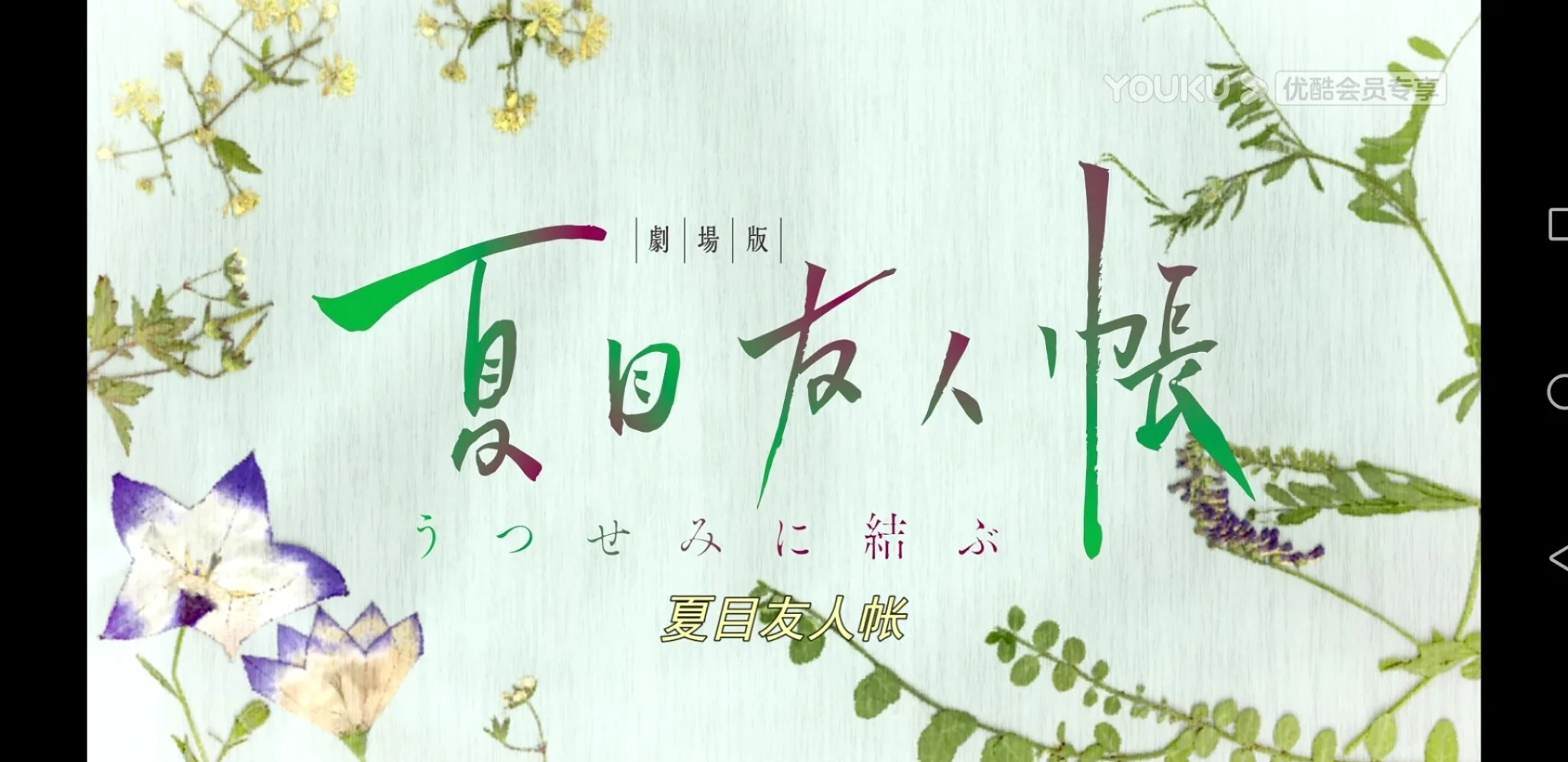 夏目彩春夏目彩春，春日之梦-第3张图片