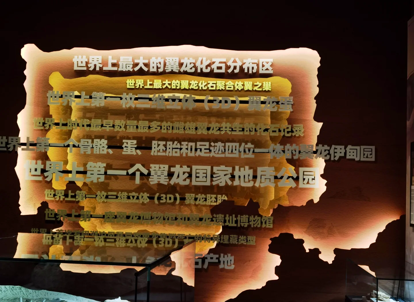 灵翼龙，神秘的翼龙世界