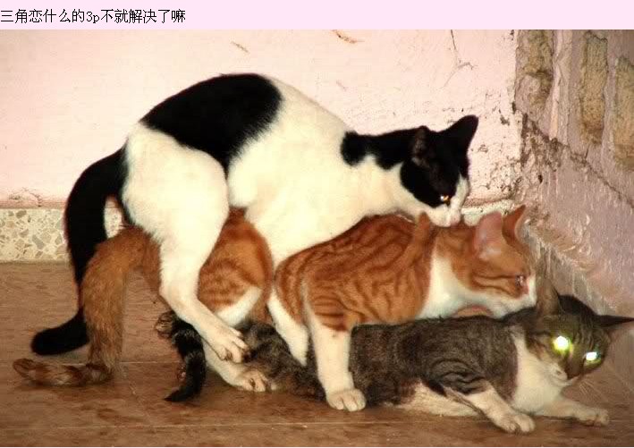 搡BBBB搡BBB搡关键词，BBBB搡