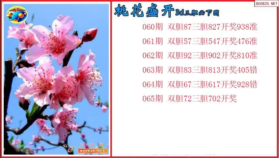 牛彩网福彩3d字谜九月开奖牛彩网福彩3d字谜九，探寻神秘字谜的世界-第3张图片
