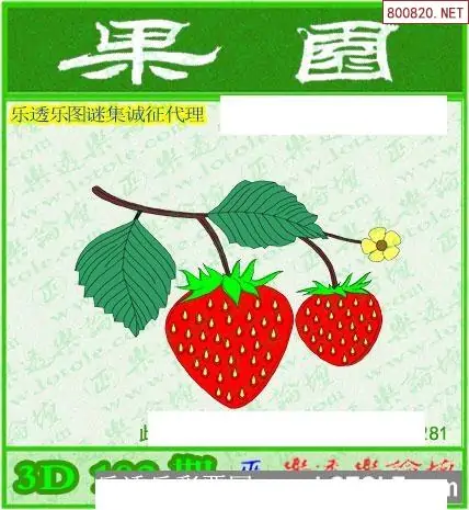 乐透乐，彩票之魅力与人生启示-第2张图片