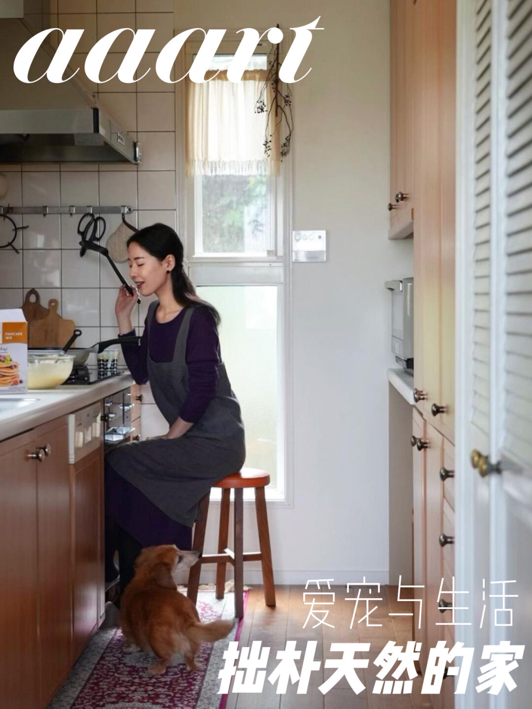 老公不在和家里的狗家中的温馨与缺失，老公不在与狗的陪伴