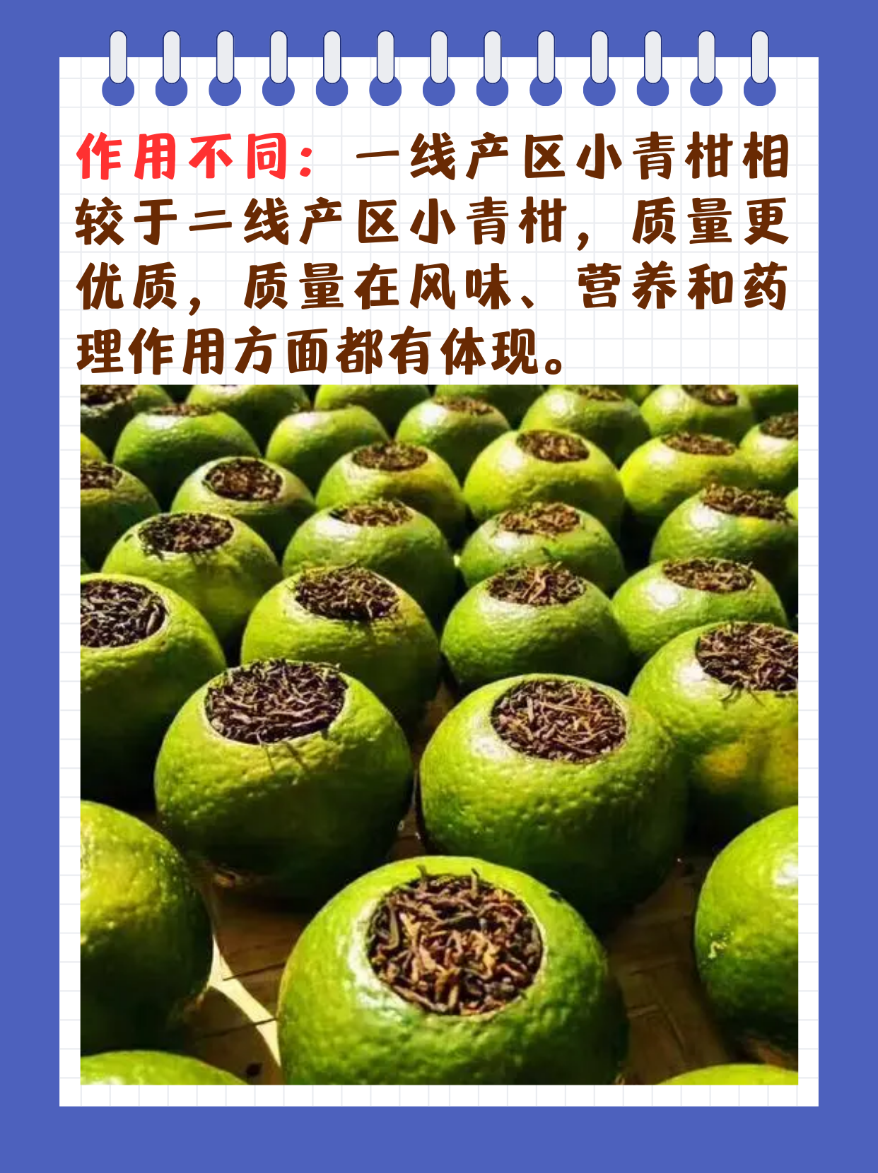 国产一线产区二线产区国产一线产区二线产区概述-第2张图片