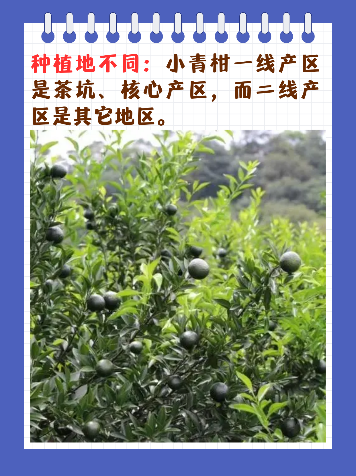国产一线产区二线产区国产一线产区二线产区概述-第1张图片