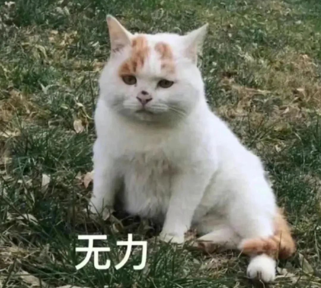 男日女动态图片免费反男日女动态图，激情与浪漫的交织-第2张图片