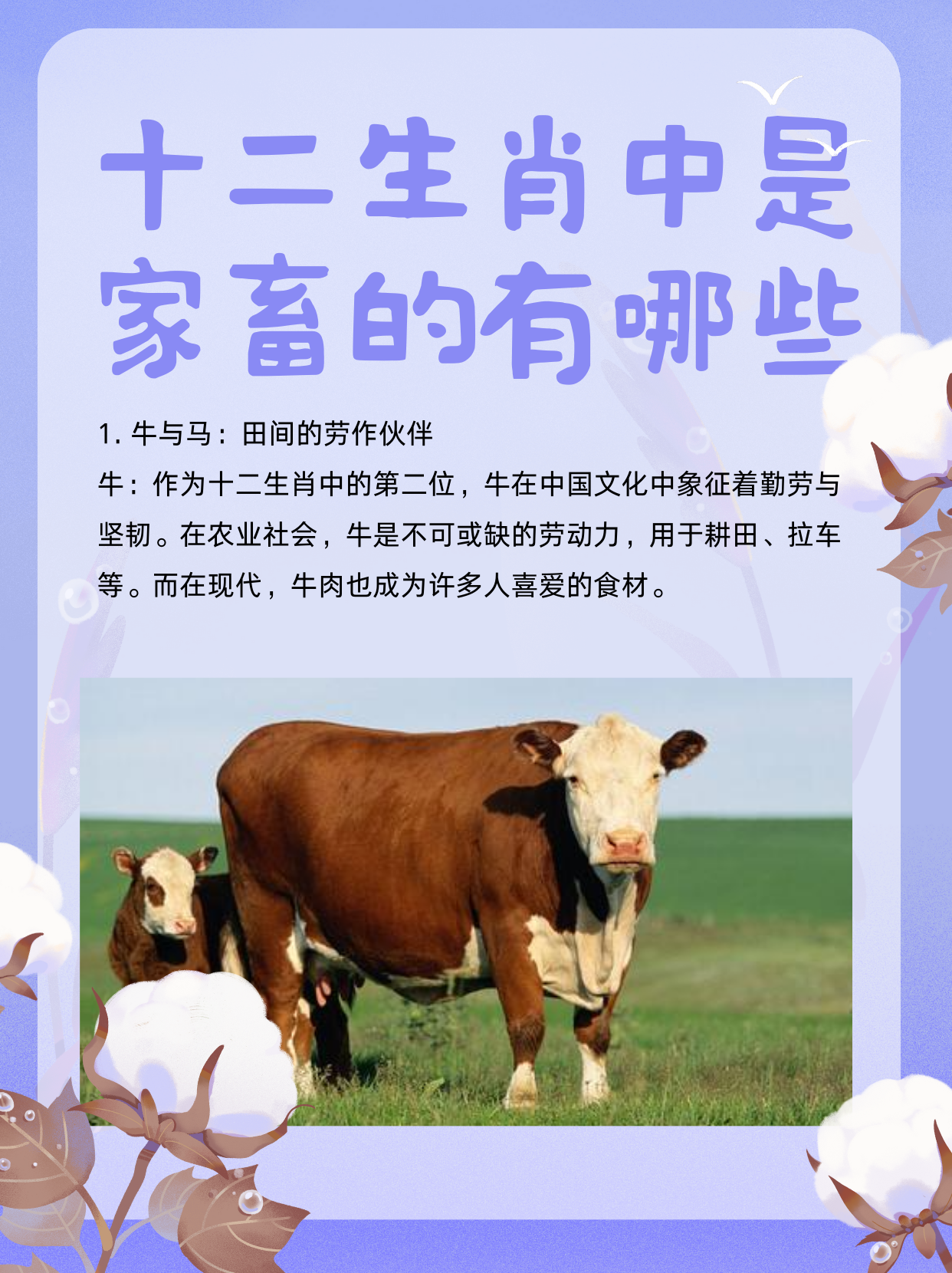 今晚必开什么生肖今晚必开生肖揭晓