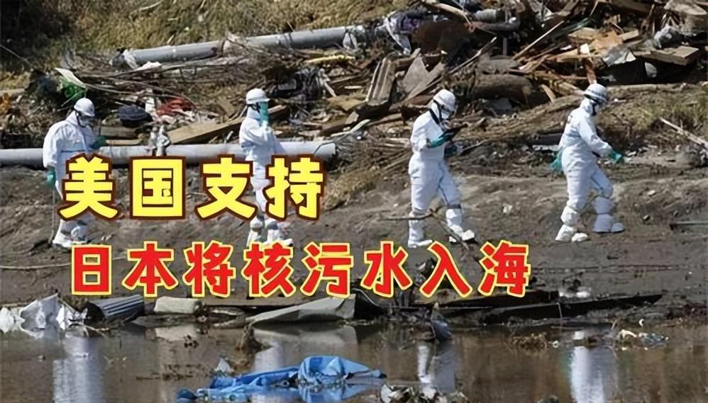 沙丁鱼之海，海洋中的生命奇迹-第3张图片