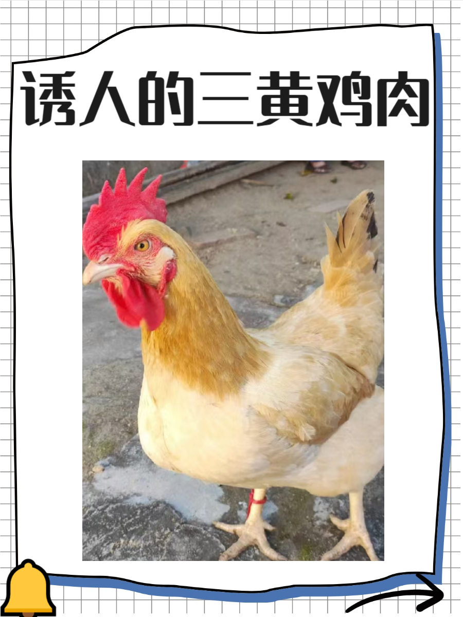 色女生玩男生鸡图片色女生玩男生鸡图片