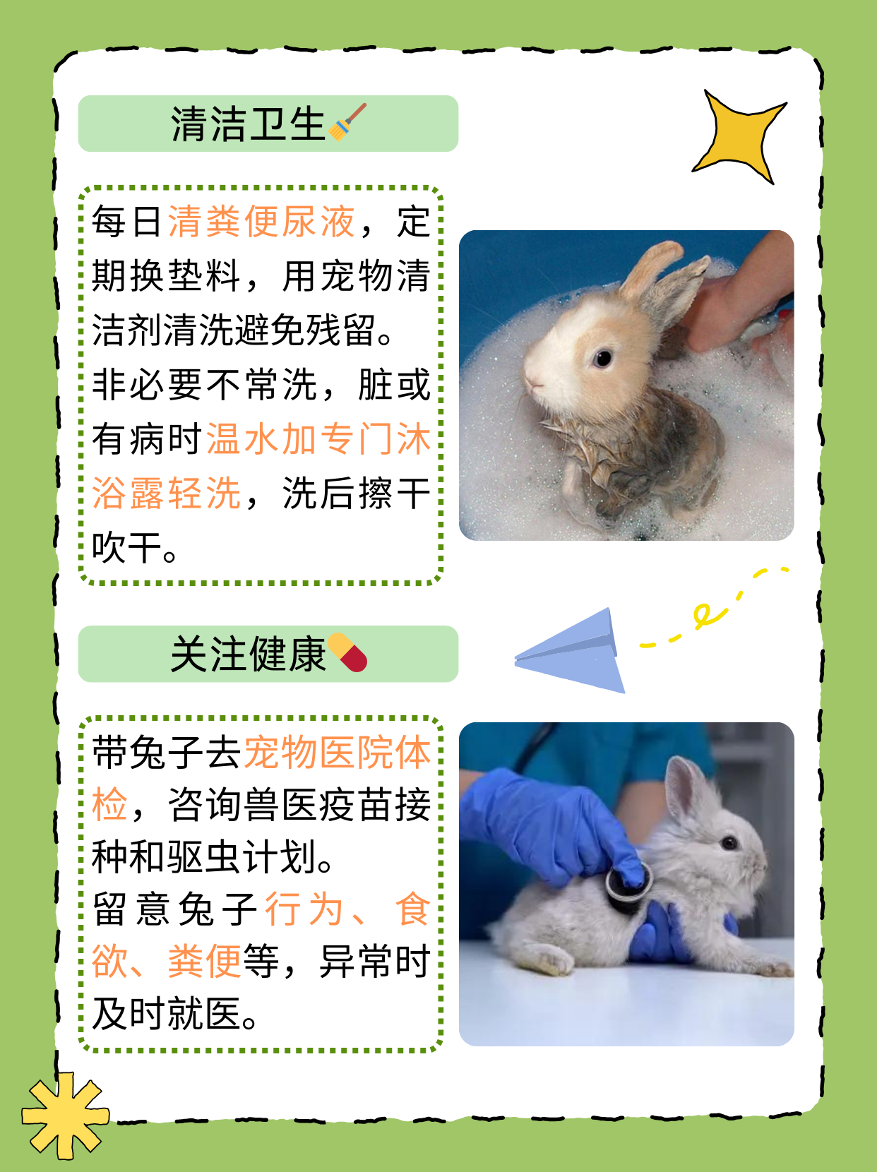 老师的小兔子好软