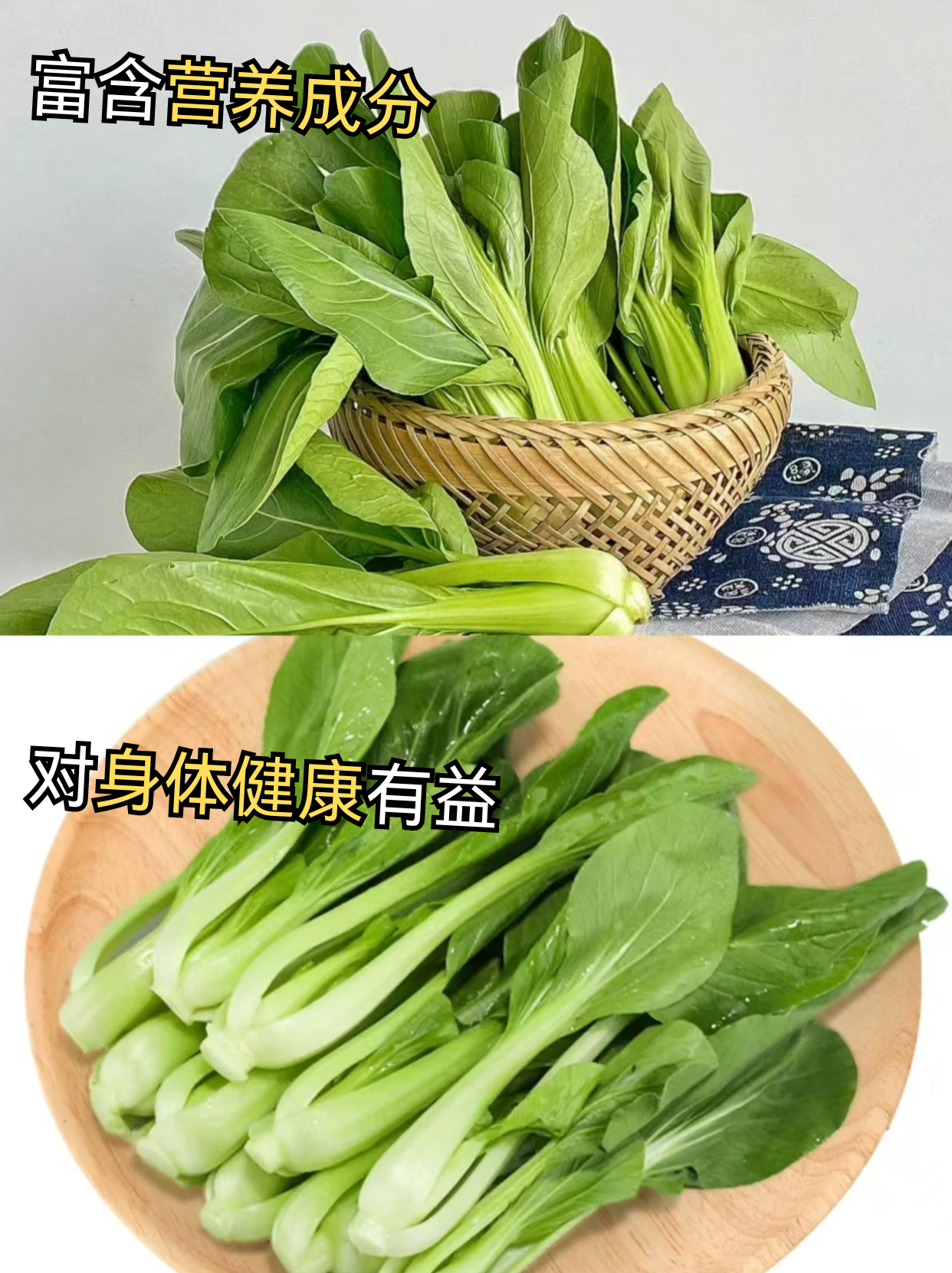 笔头菜图片笔头菜，美味与健康的完美结合-第3张图片