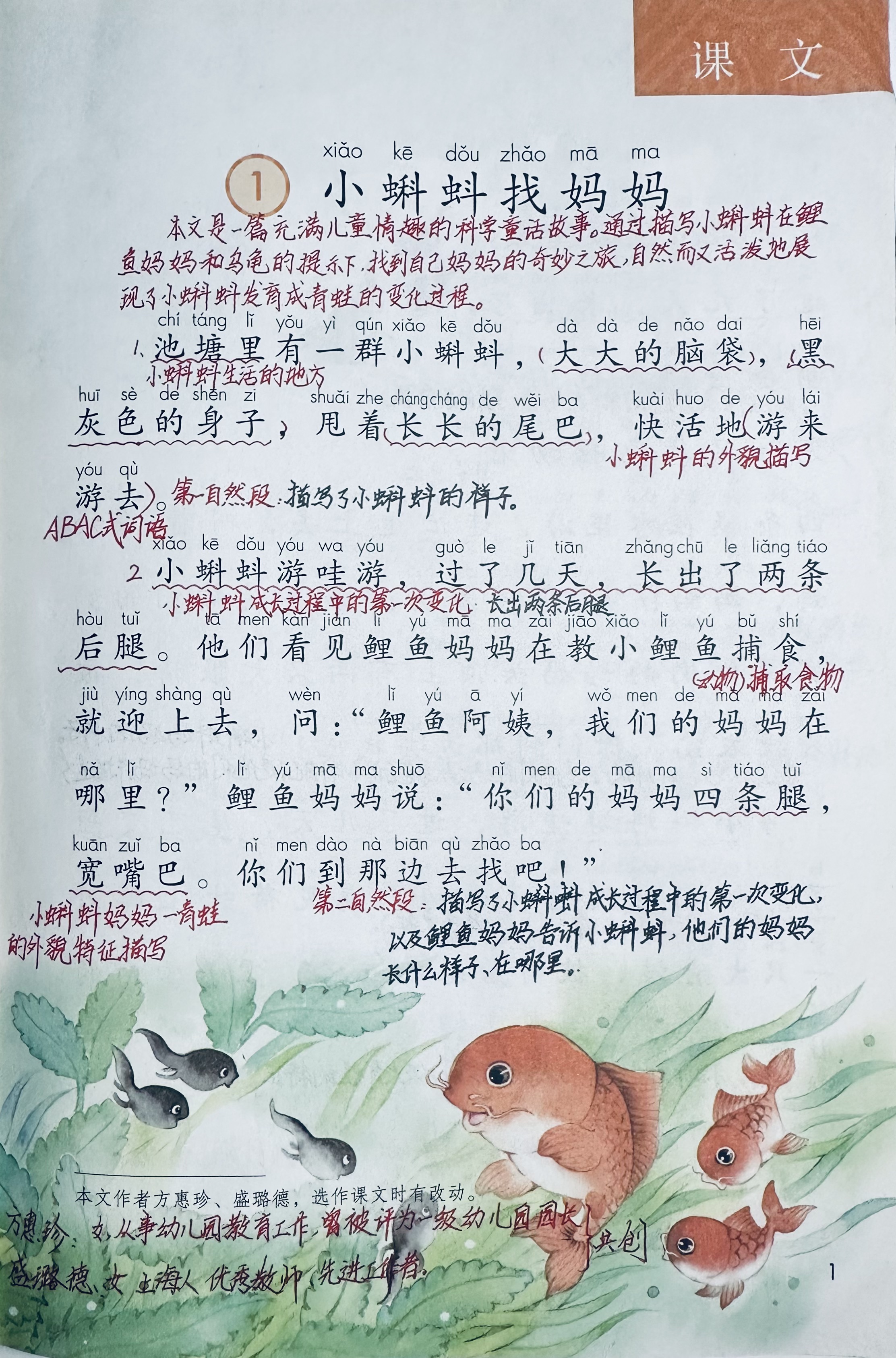 小蝌蚪视频旧装包小蝌蚪视频，WWW的探索与启示