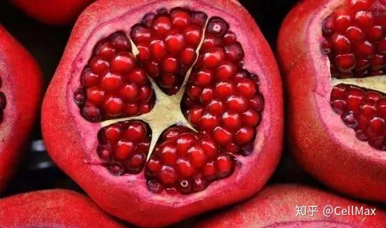DOI文，探索数字化文献的奥秘-第1张图片