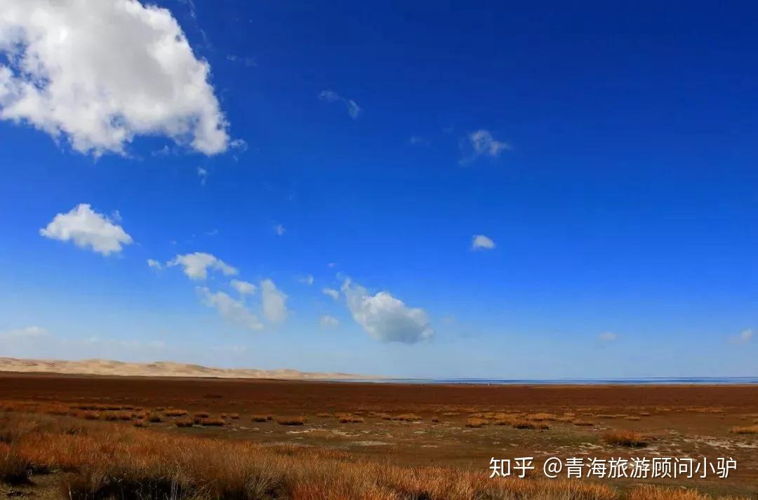 亚洲无人区码一二三区别探讨-第3张图片