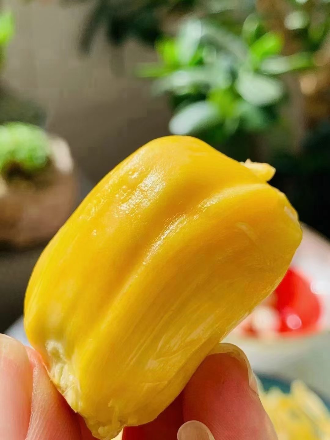 菠萝菠萝蜜视频在线观看完整版菠萝菠萝蜜视频在线观看完整版-第1张图片