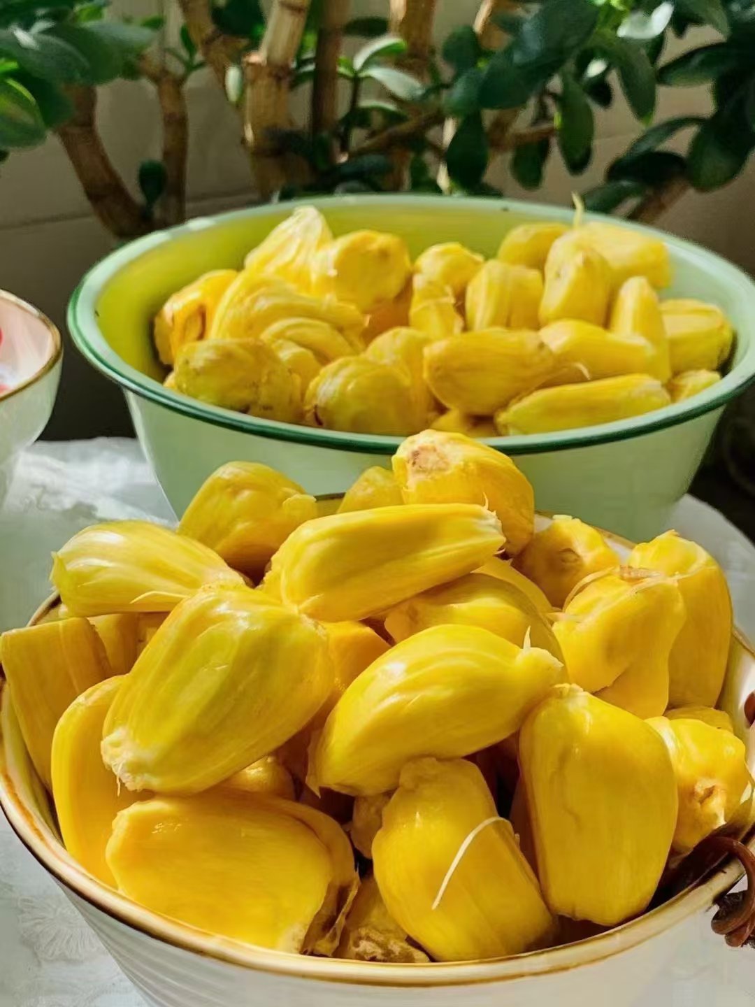 菠萝菠萝蜜手机在线观看