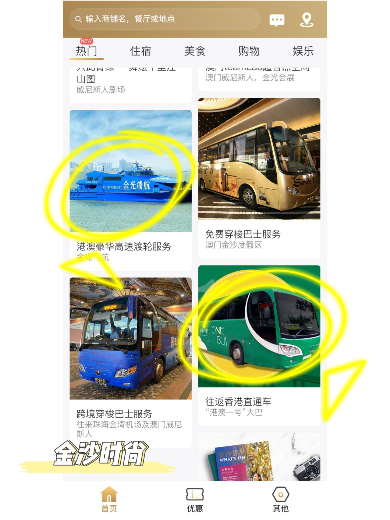 香港澳门资料大全香港t开什么号香港澳门资料大全，T开号码详解-第3张图片