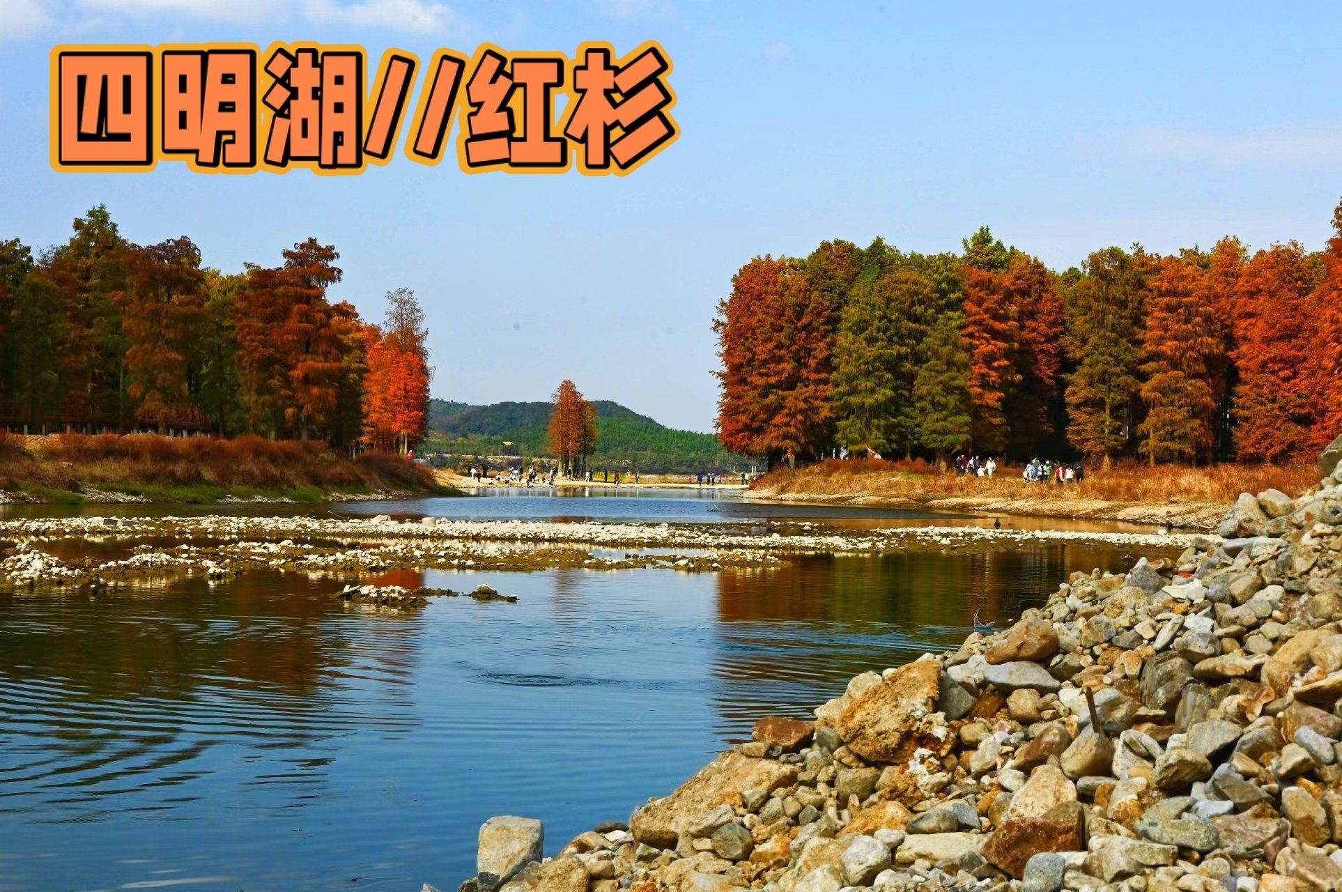 野外NP强J，探索自然之美与激情之韵-第2张图片