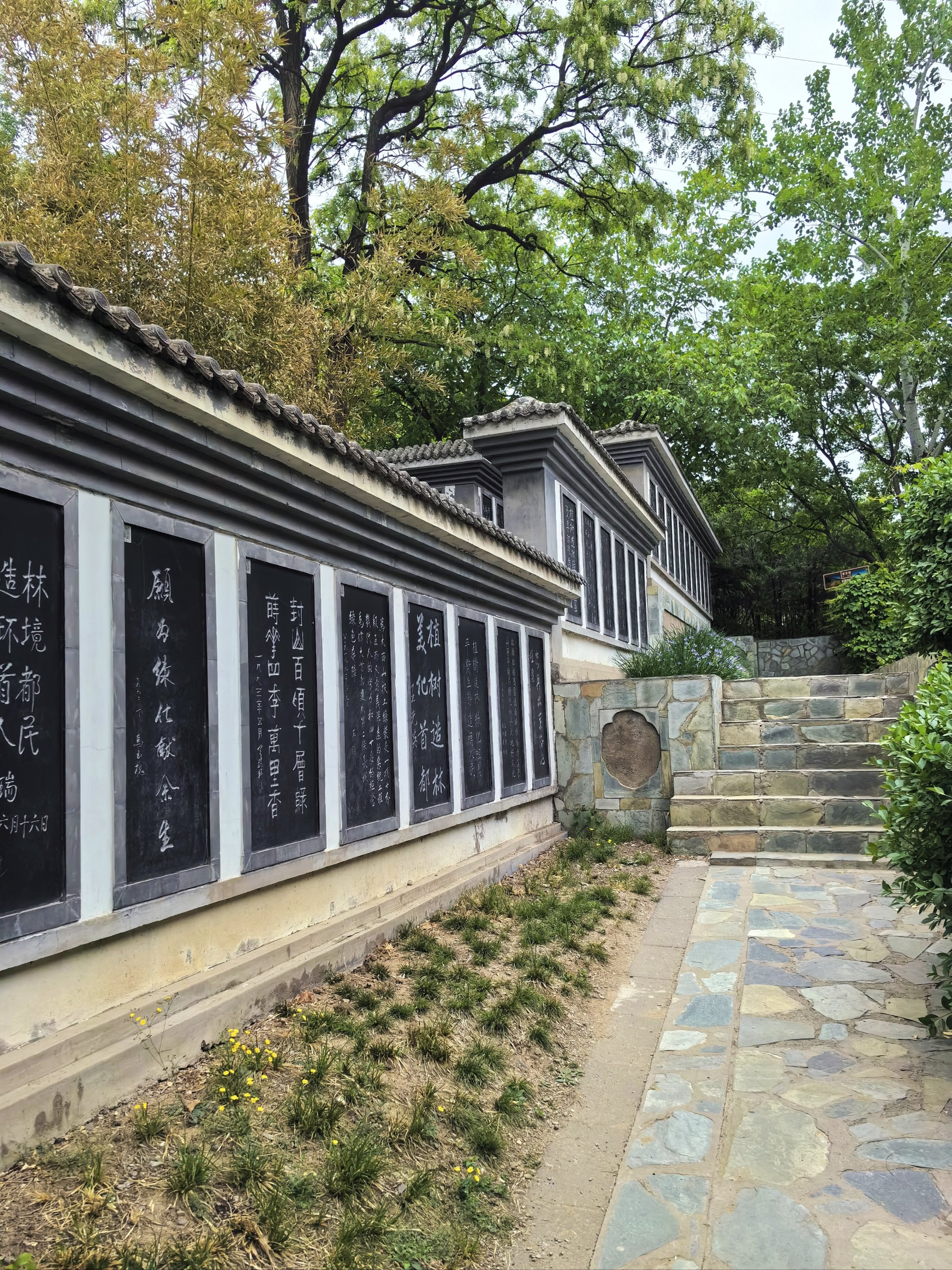 公园小树中老年交易图片应用场景微信公园小树中老年交易图片-第2张图片