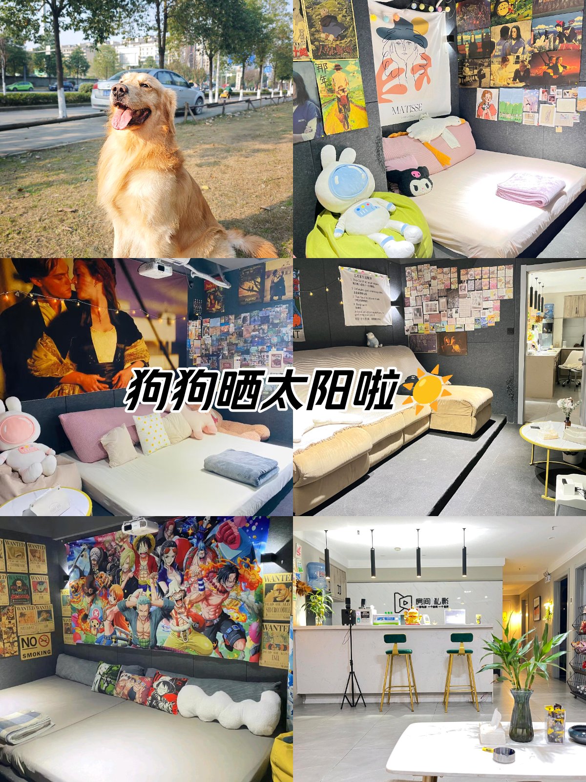 猫狗影院猫狗影院，宠物电影的奇妙世界