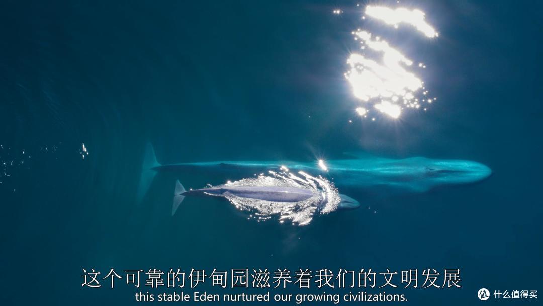 蓝光高清超清哪个更清楚蓝光高清，影视娱乐的新篇章-第2张图片