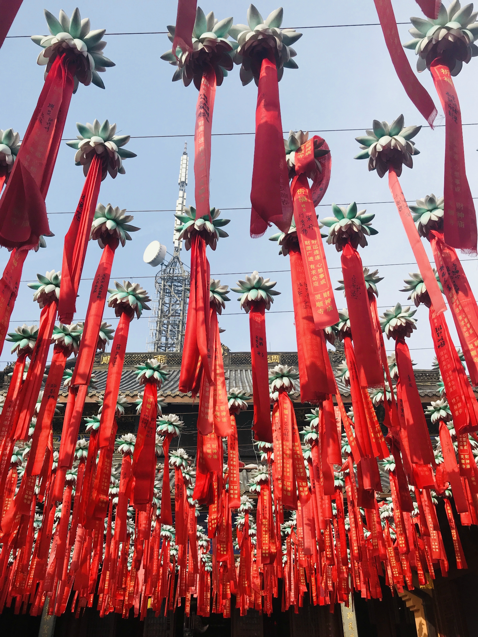 天下免费票资料大全