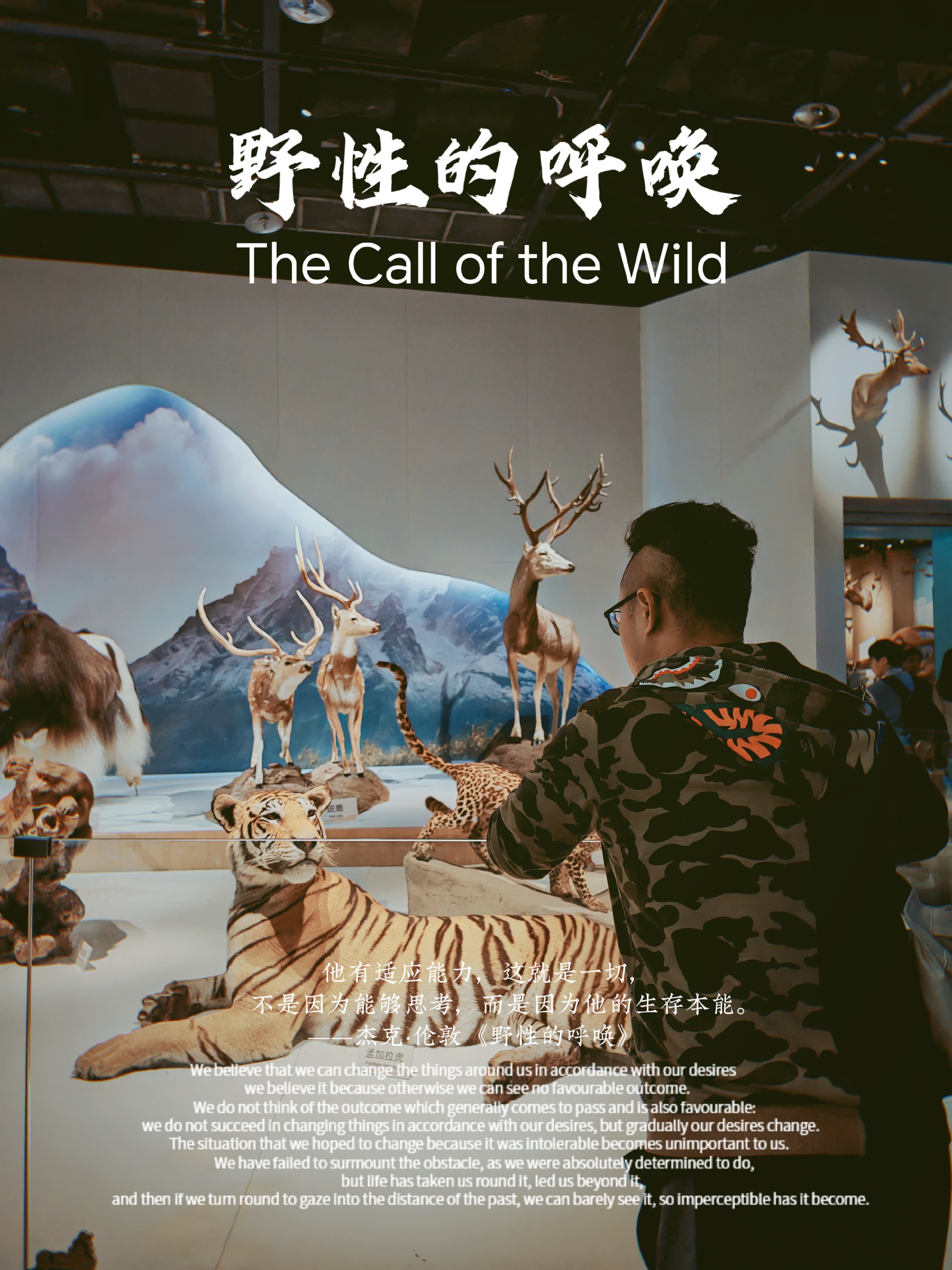 六色影院，沉浸于视觉盛宴的奇妙世界-第2张图片