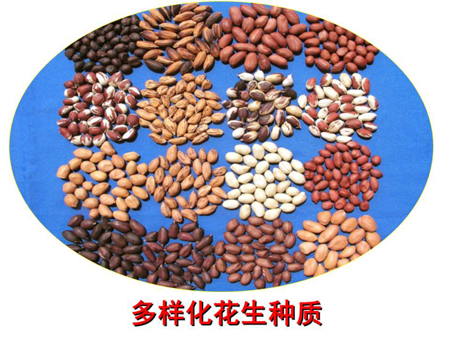 采摘网藏机图全部图谜正版采摘网，高效便捷的农业工具-第3张图片
