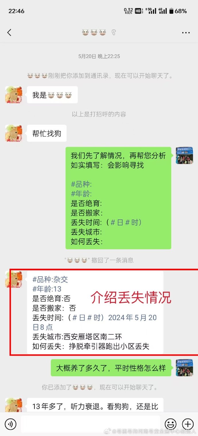 白天是狗晚上是丈夫故事白天是狗晚上是丈夫的故事-第2张图片