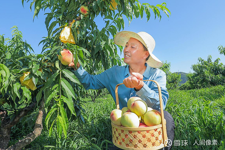 黄瓜草莓香蕉水蜜桃成人黄瓜草莓香蕉水蜜桃成人乐园-第2张图片