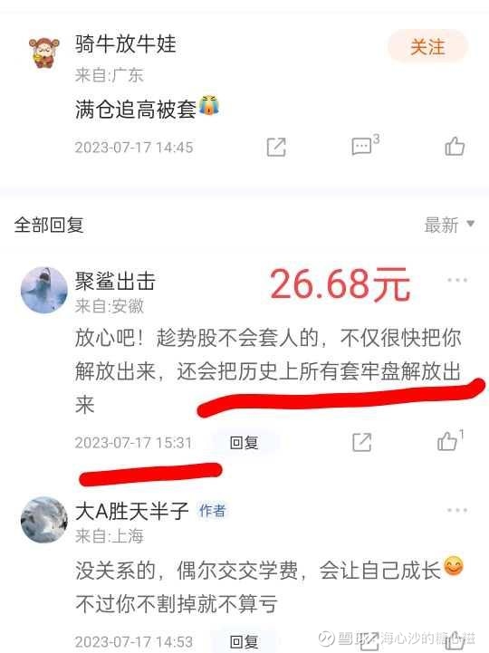 300456.com，探索数字时代的无限可能-第2张图片
