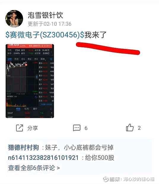 300456.com，探索数字时代的无限可能-第3张图片