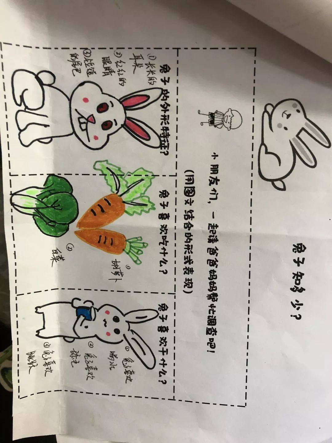 兔子好软水好多是什么意思兔子好软水好多h15