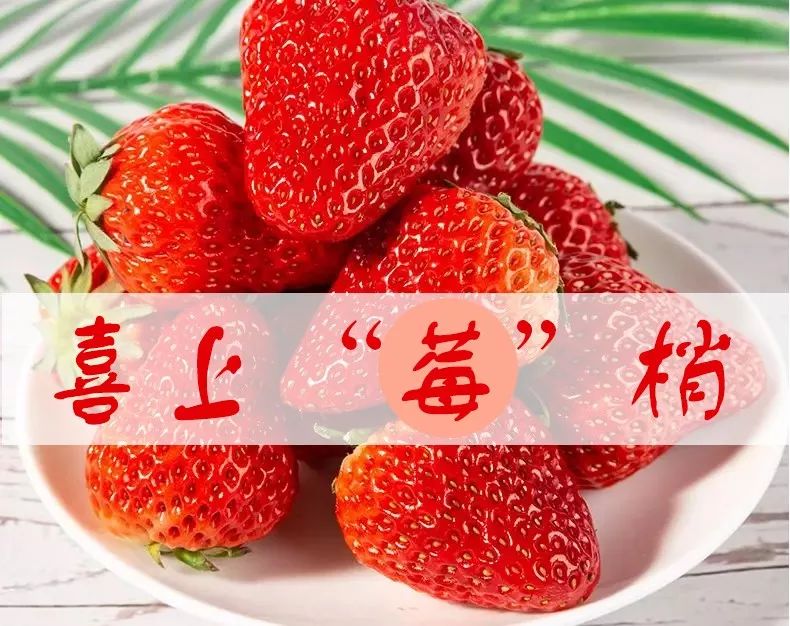 秋葵视频男人的加油站下载秋葵视频，男人的加油站下载指南-第3张图片