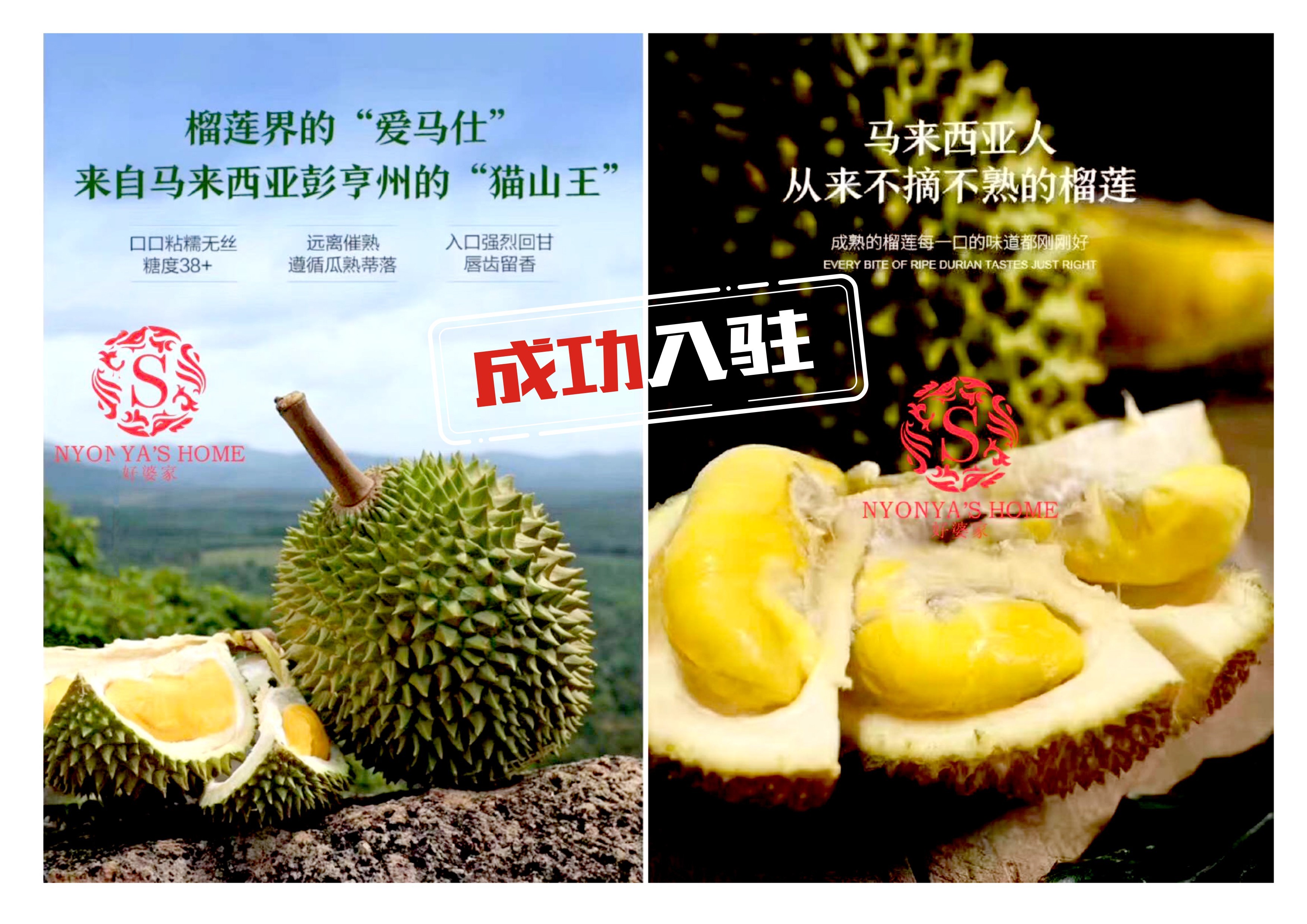 榴莲APP官方下载，探索便捷生活的新篇章-第3张图片