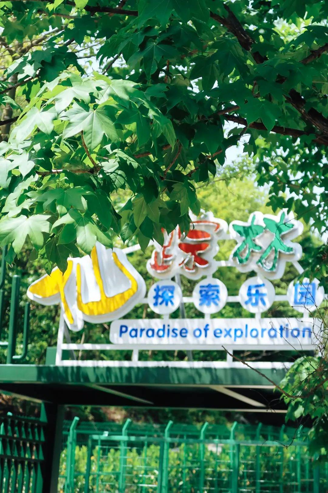 仙踪林免费入口探索