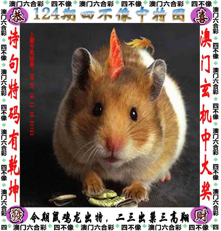 新澳姿料大全正版2024