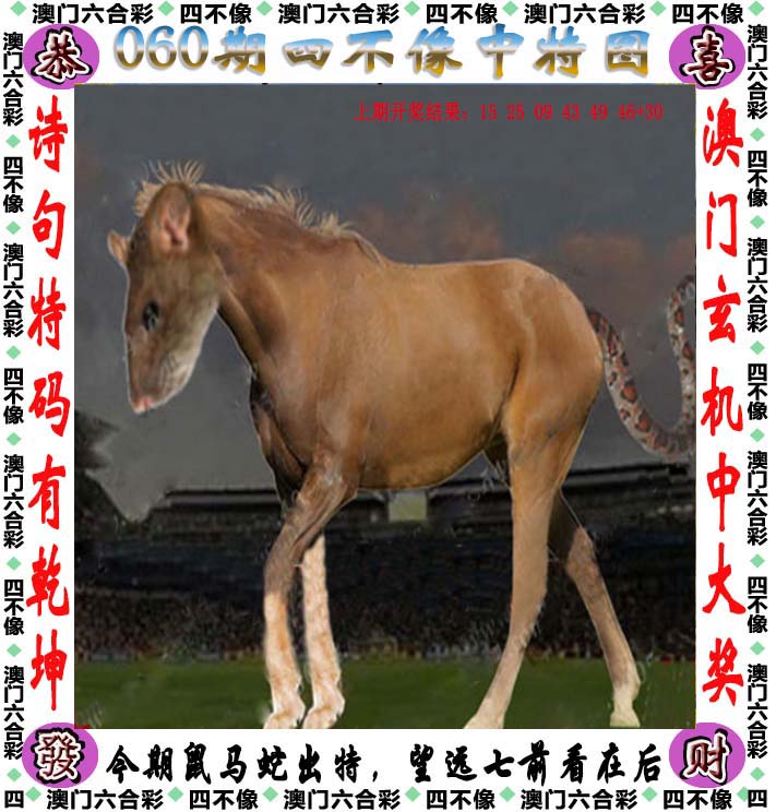二四天天好彩859赢彩，彩市新篇章-第2张图片