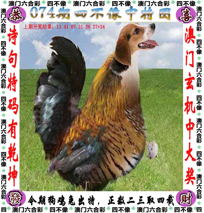 626969澳彩资料大全2021期一626969澳彩资料大全2021期3金牛，揭秘彩市风向标-第1张图片