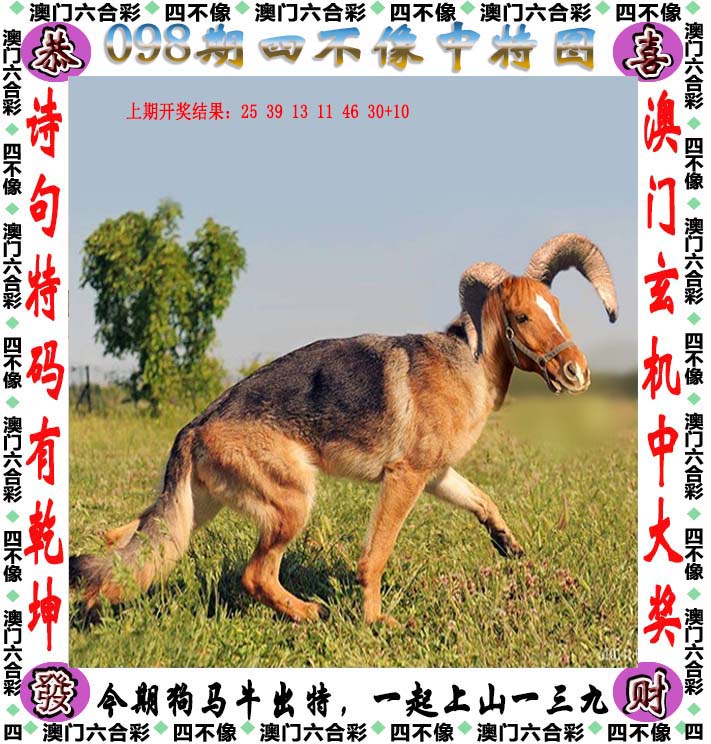 澳门特马今晚开奖亿彩网揭秘-第3张图片