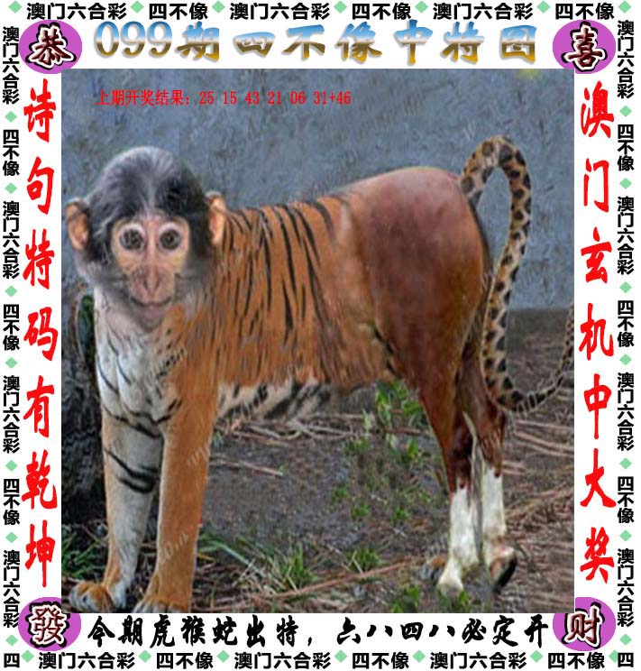 黄大仙三肖三码必中一期黄大仙三肖三码必中一期-第1张图片