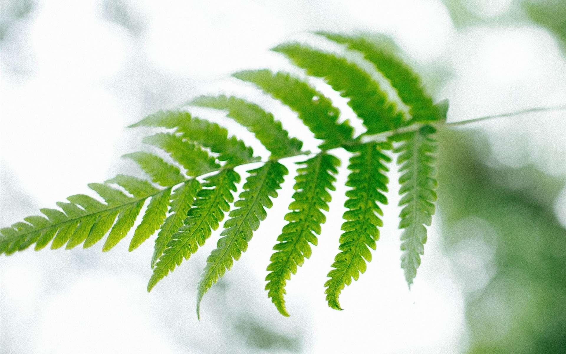 一个人免费完整看HD视频一个人免费完整观看高清视频