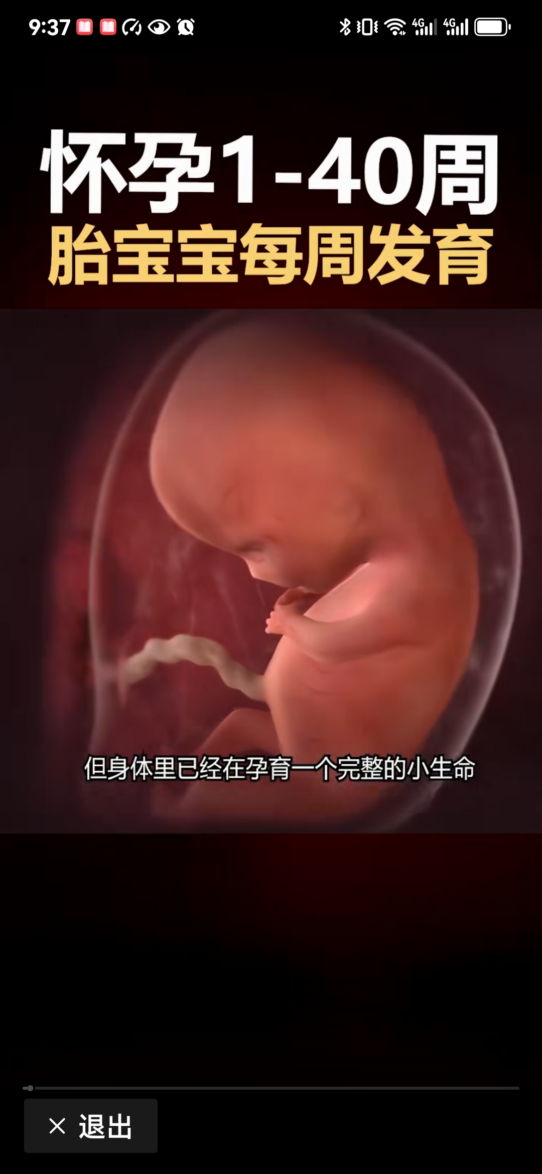 孕妇视频探索，孕期生活的艺术与科技-第3张图片