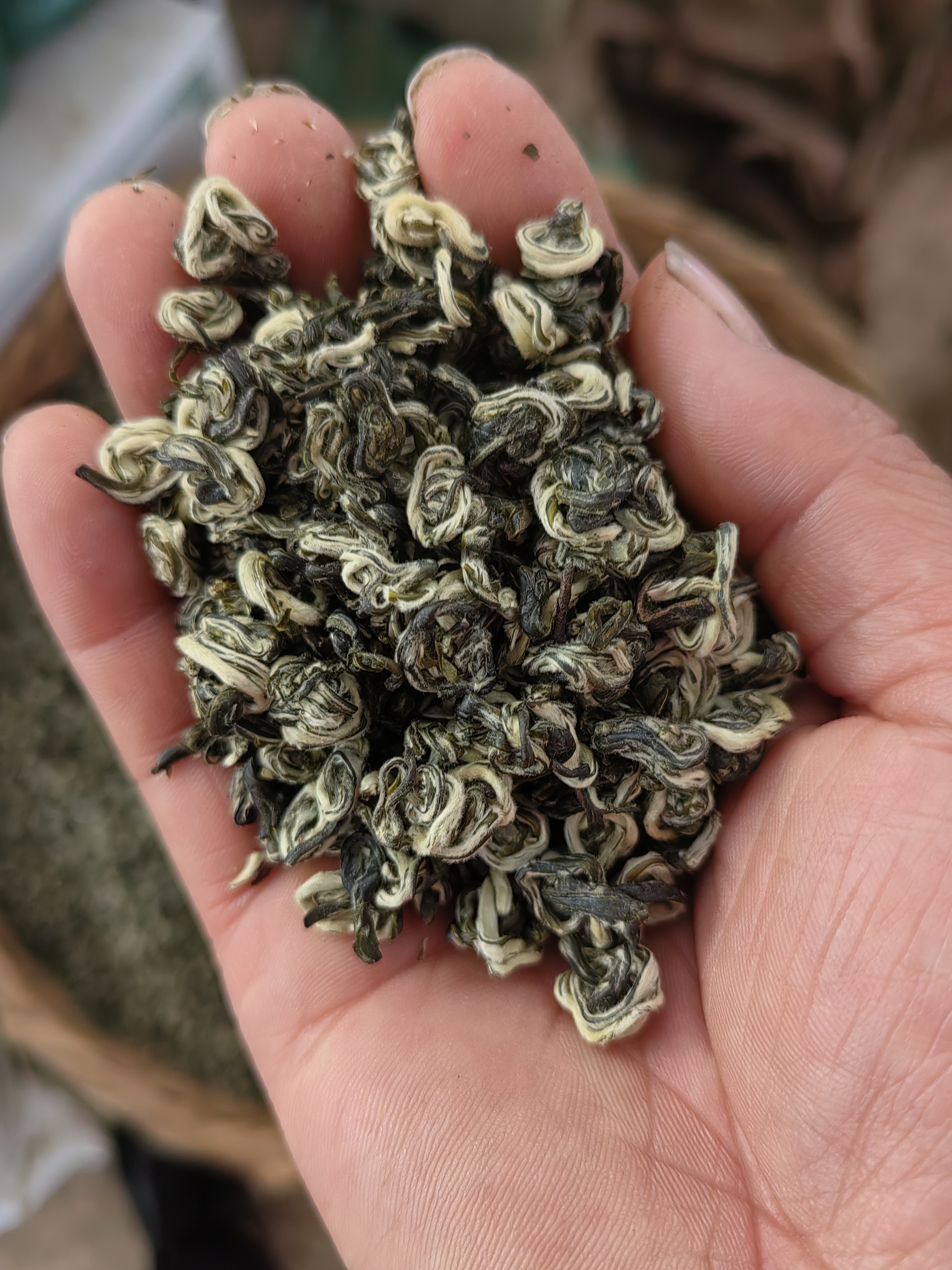 云南茶叶普洱茶有什功效云南茶叶——普洱茶-第2张图片